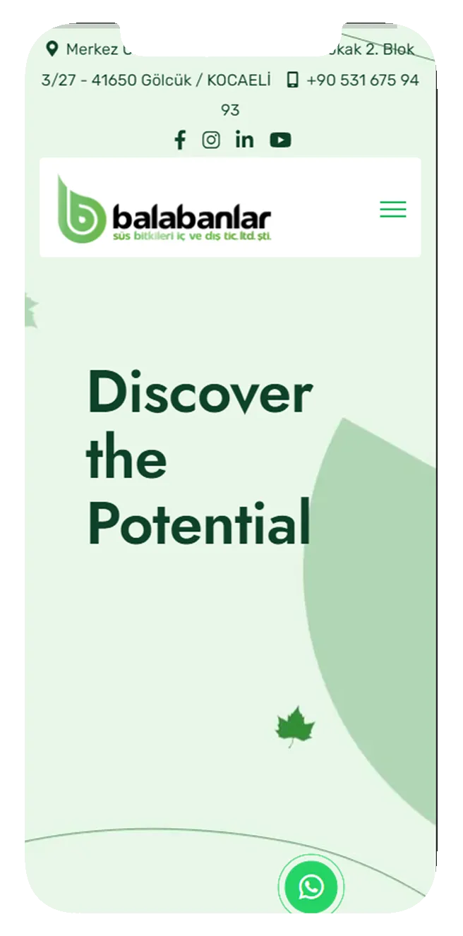 Balabanlar Süs Bitkileri